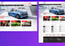 build luxury website design and wordpress website development